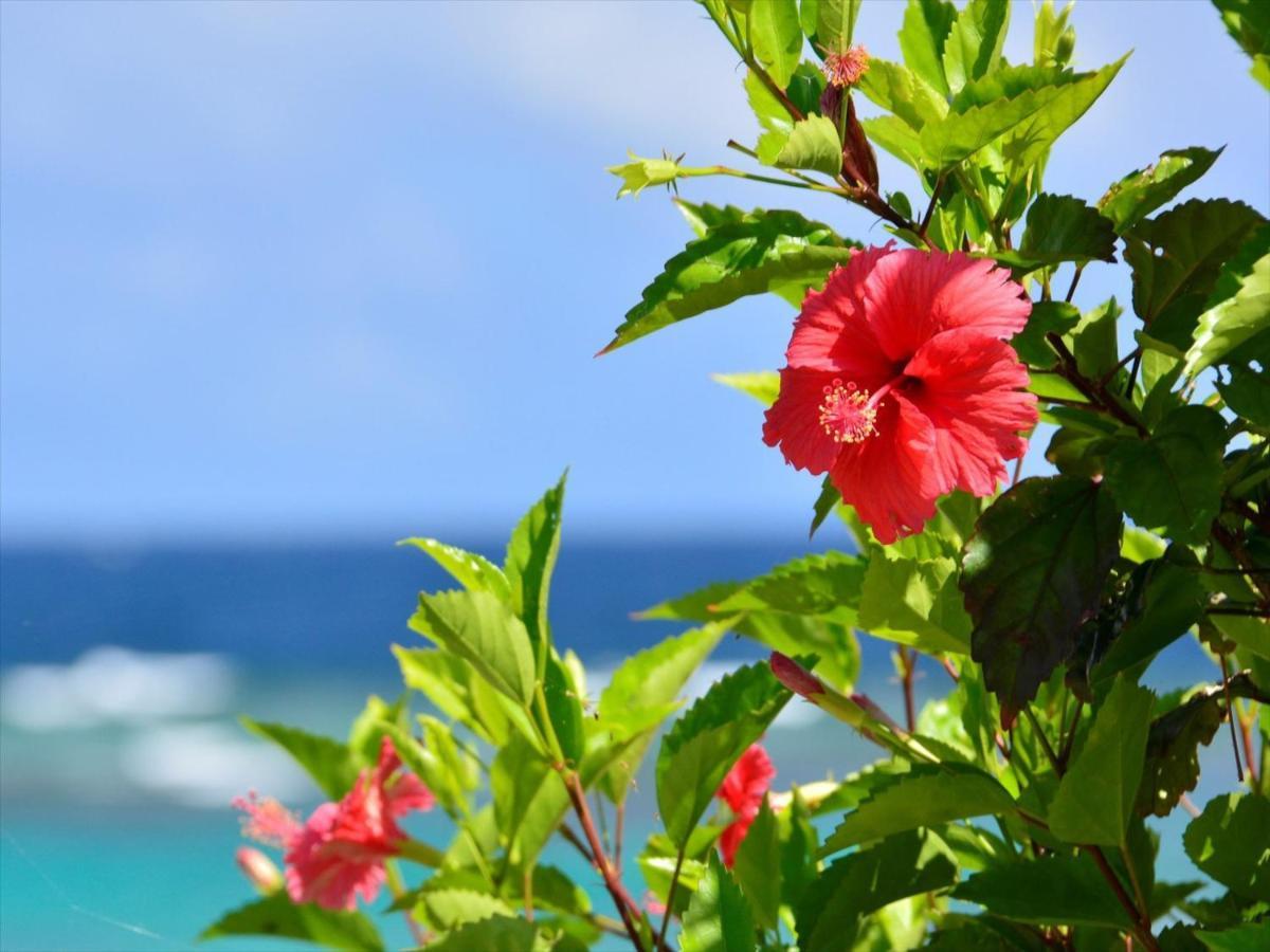 Allamanda Imgya Coral Village Miyakojima  Esterno foto